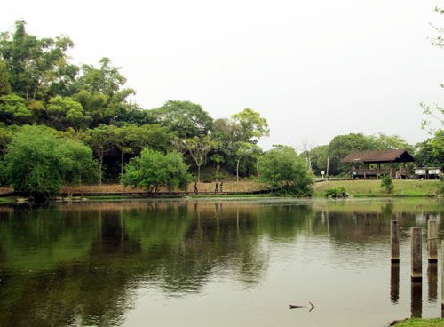 静思湖吧的介绍