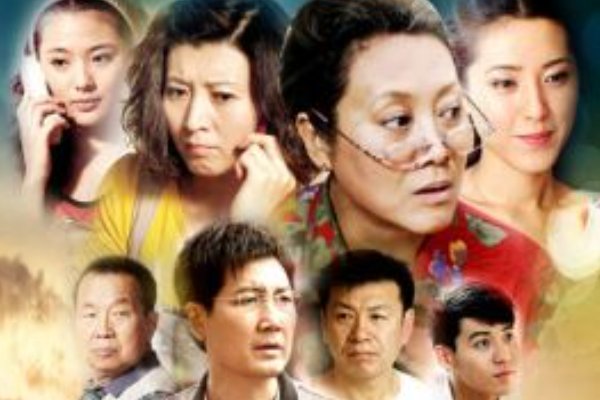 王丽云演过的电视剧