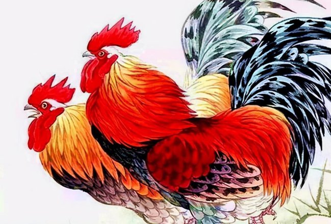 星火灿烂是什么肖