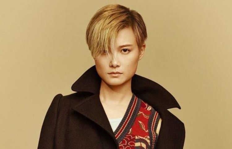 费翔和李宇春结婚了吗