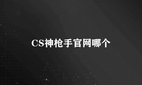 CS神枪手官网哪个