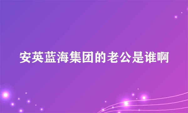 安英蓝海集团的老公是谁啊