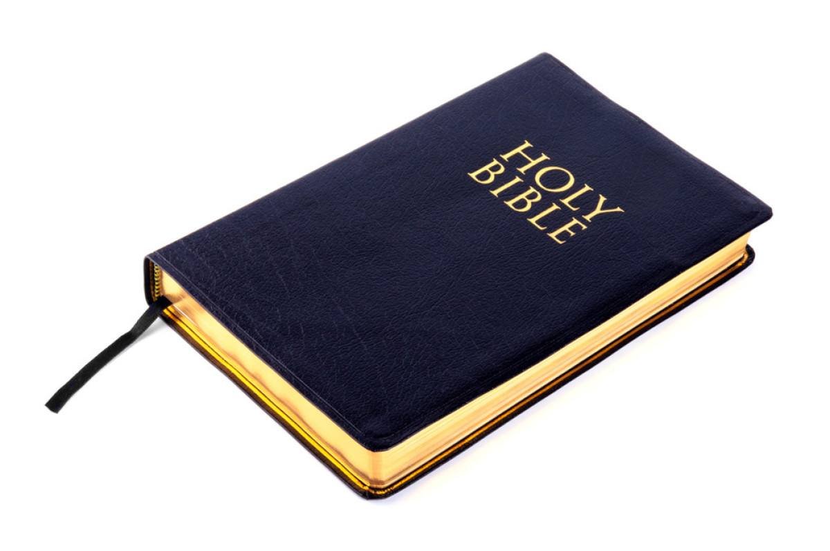 爱的价值的出处是哪里?