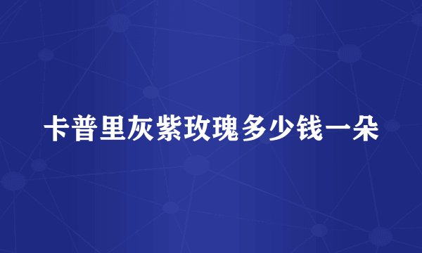 卡普里灰紫玫瑰多少钱一朵