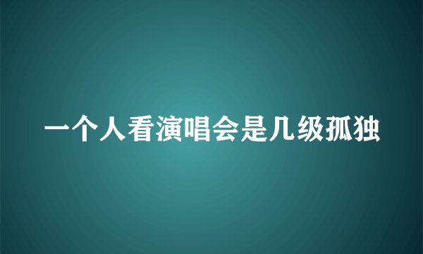 一个人看演唱会是几级孤独