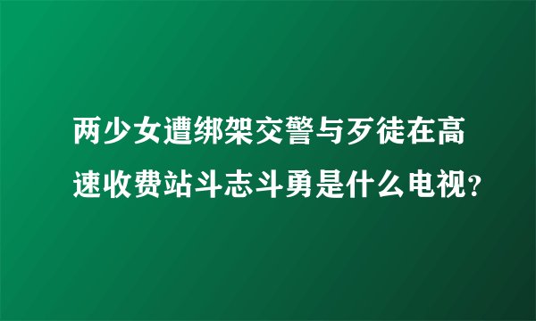 两少女遭绑架交警与歹徒在高速收费站斗志斗勇是什么电视？