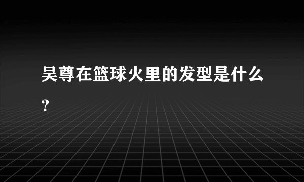 吴尊在篮球火里的发型是什么？