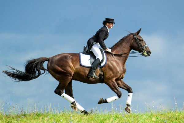 中山泉林山庄游玩攻略