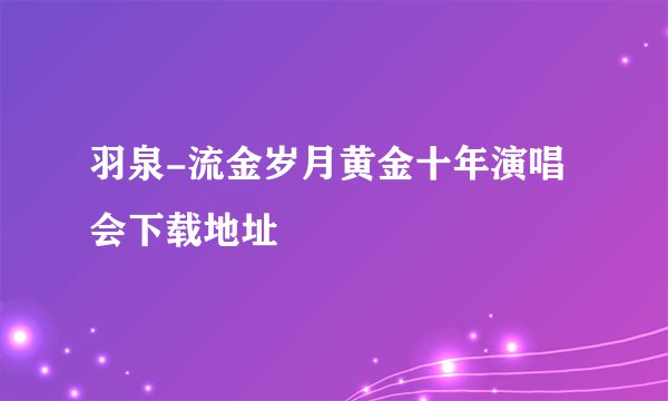 羽泉-流金岁月黄金十年演唱会下载地址