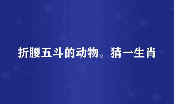 折腰五斗的动物。猜一生肖