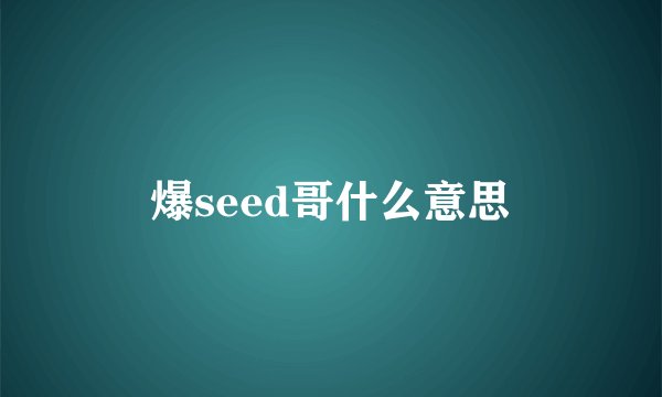爆seed哥什么意思