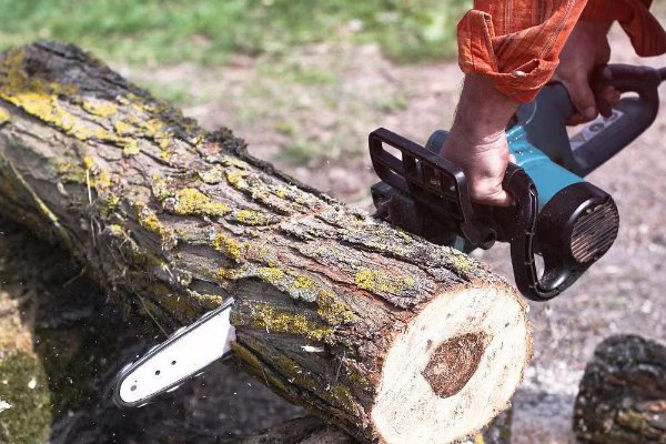 形容有毅力的成语