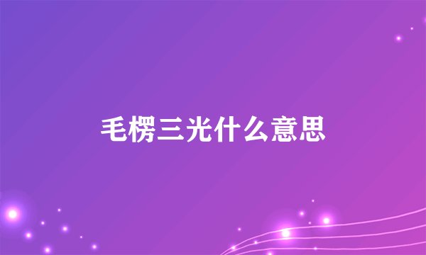 毛楞三光什么意思