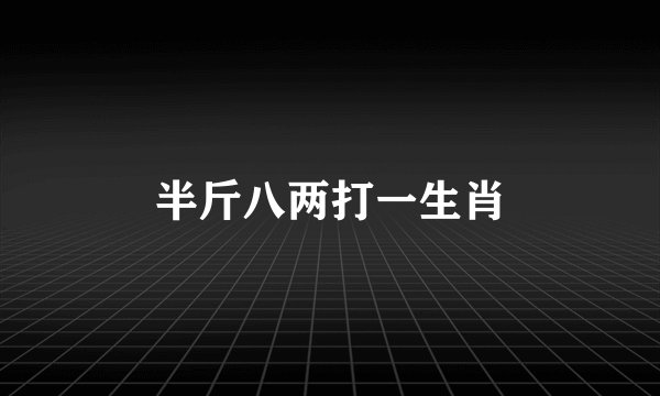 半斤八两打一生肖