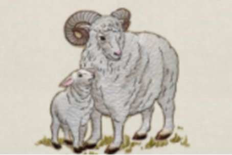 一水之隔几个生肖