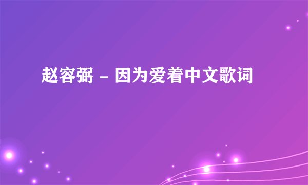 赵容弼 - 因为爱着中文歌词