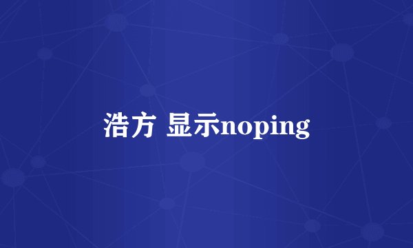 浩方 显示noping