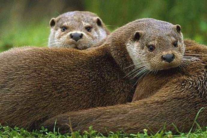 它它它它它怎么读?