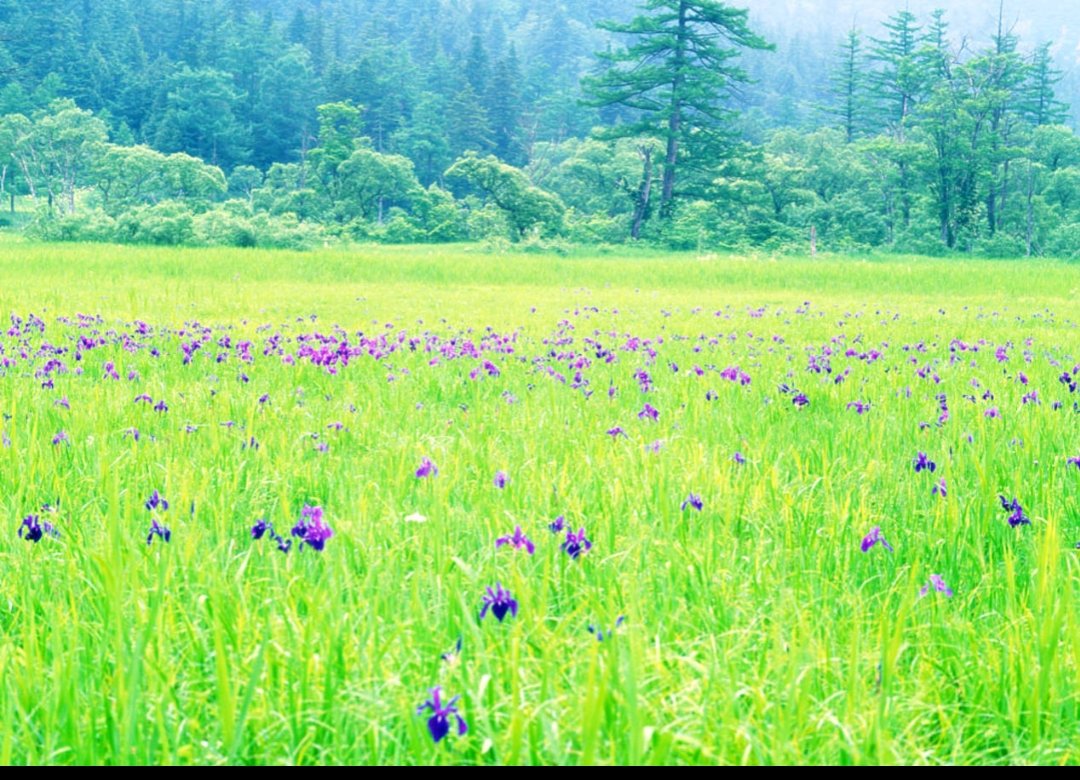 成了造句子比喻句