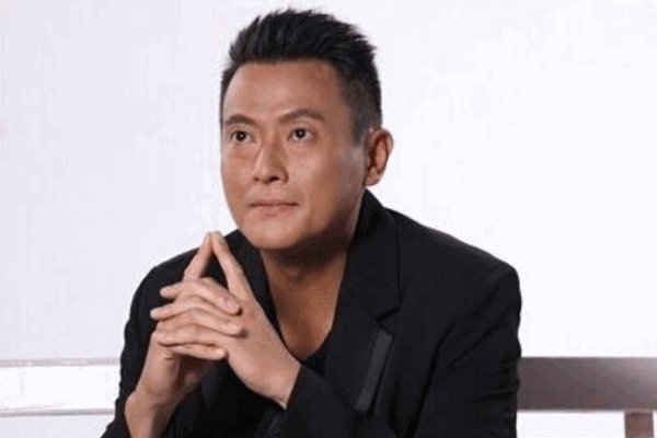 魏骏杰主演的电视剧