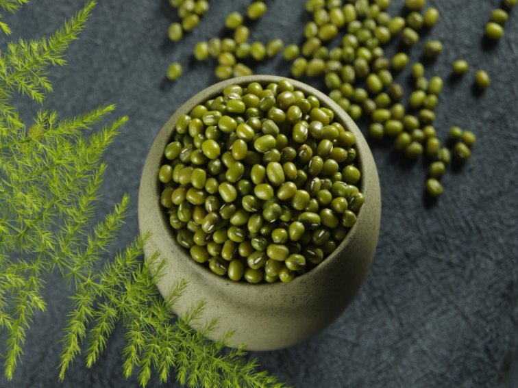 济世之良谷是哪种食物