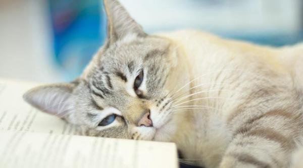 年轻人选择躺平可耻吗？