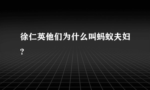 徐仁英他们为什么叫蚂蚁夫妇?