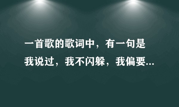 一首歌的歌词中，有一句是 我说过，我不闪躲，我偏要这么做，求歌名