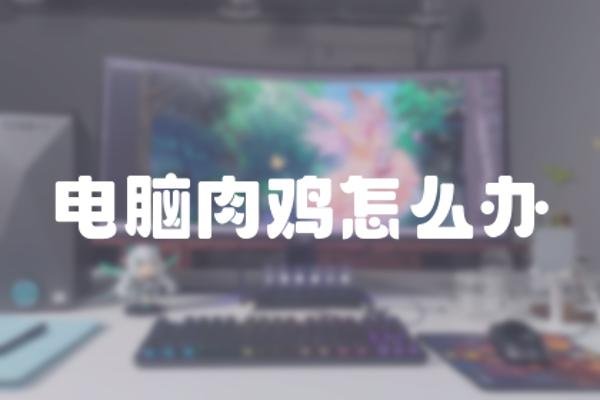 电脑肉鸡怎么办