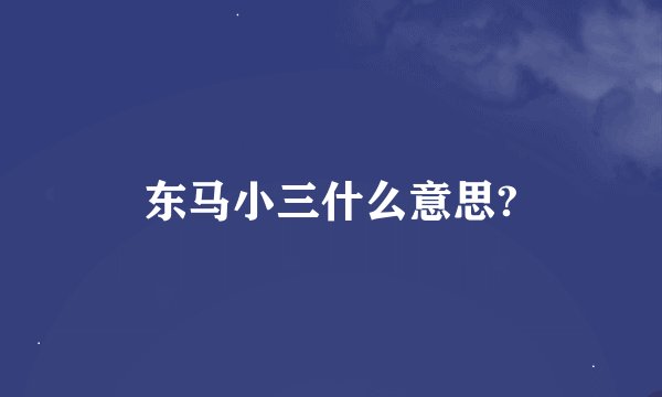 东马小三什么意思?