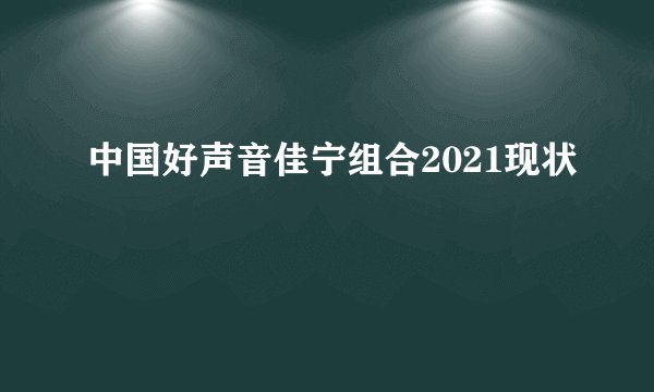 中国好声音佳宁组合2021现状