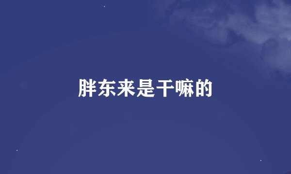 胖东来是干嘛的