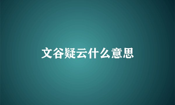 文谷疑云什么意思
