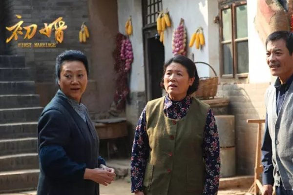 王丽云演过的电视剧