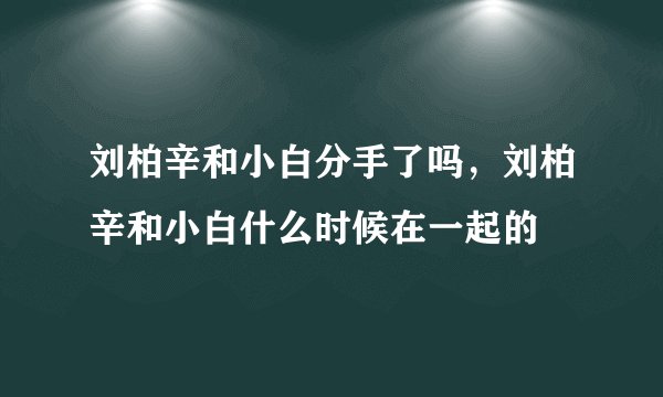 刘柏辛和小白分手了吗，刘柏辛和小白什么时候在一起的