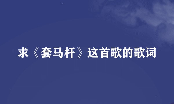 求《套马杆》这首歌的歌词