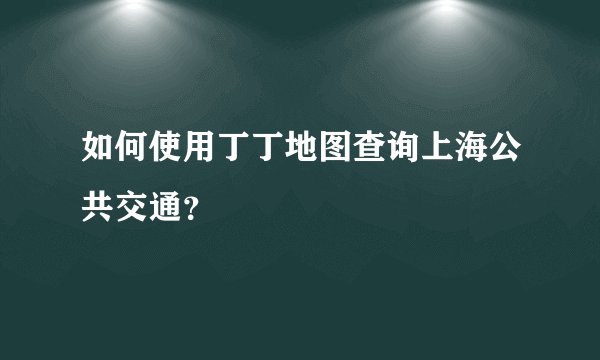 如何使用丁丁地图查询上海公共交通？