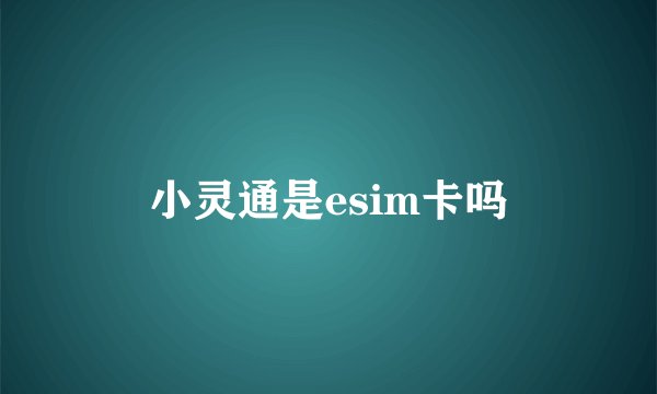 小灵通是esim卡吗