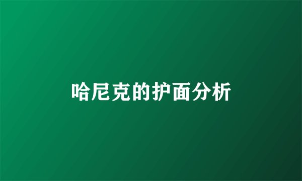 哈尼克的护面分析
