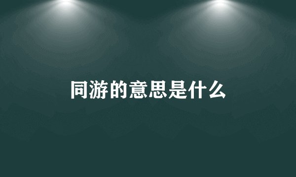 同游的意思是什么