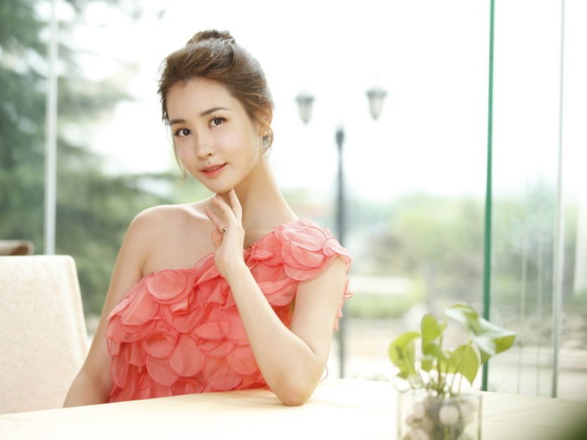 李多海主演的电视连续剧