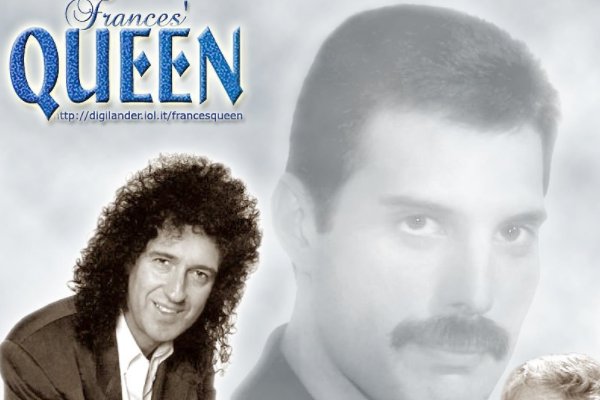 tloml的意思是什么？