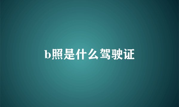 b照是什么驾驶证