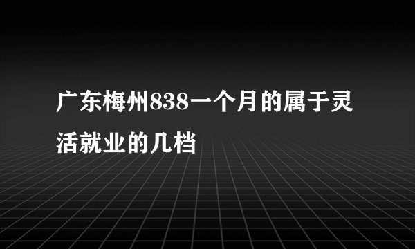 广东梅州838一个月的属于灵活就业的几档