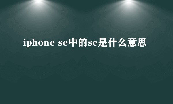 iphone se中的se是什么意思