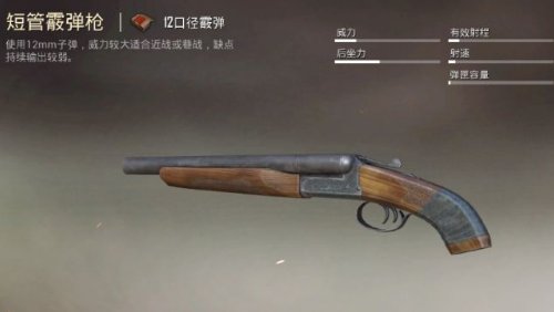 吃鸡十大最弱枪