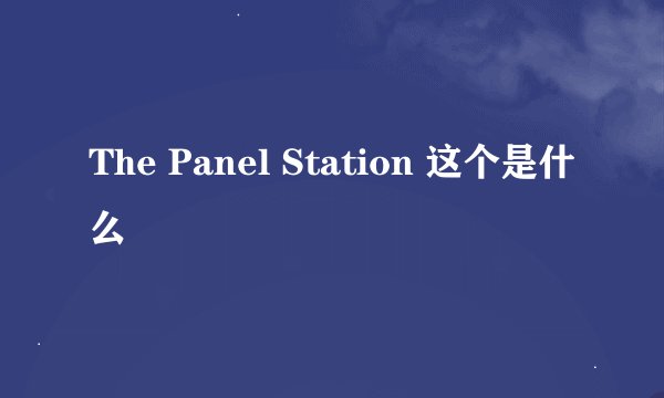 The Panel Station 这个是什么