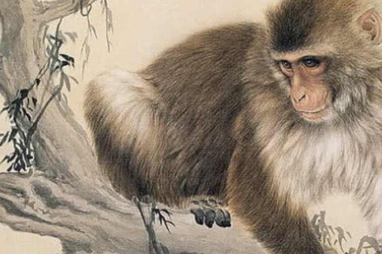 曰复一日打一生肖