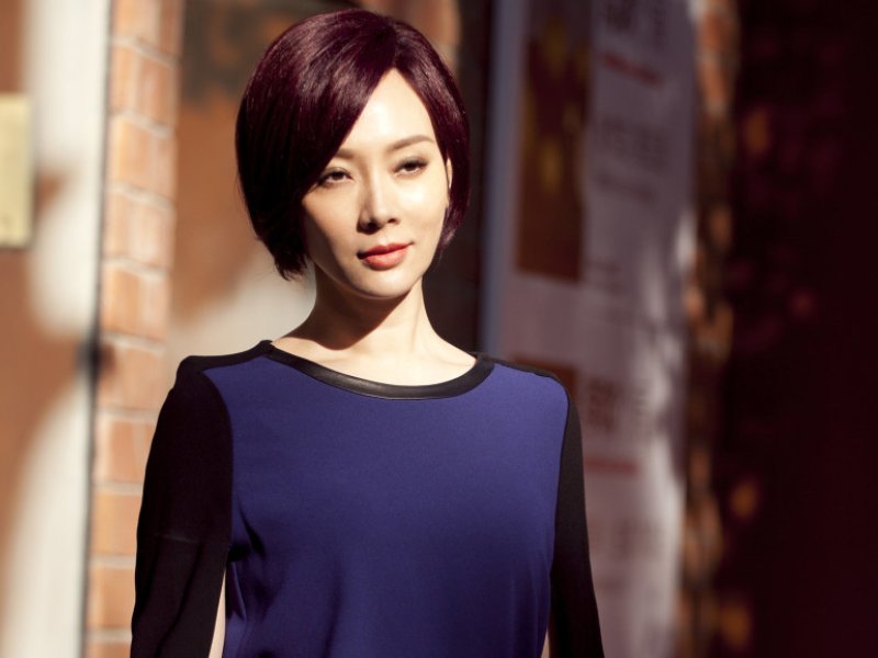 陈数主演的电视剧全部