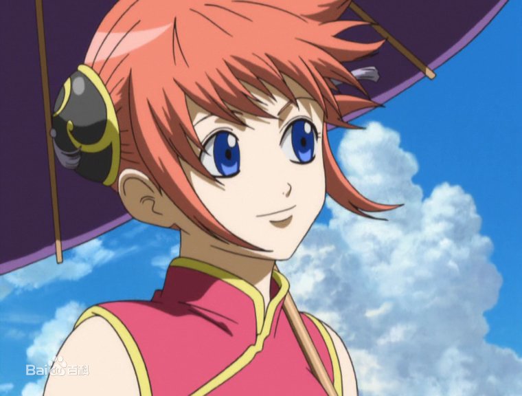 求动漫中的拳脚为战斗类的魔法少女的名字和资料，要全部的。